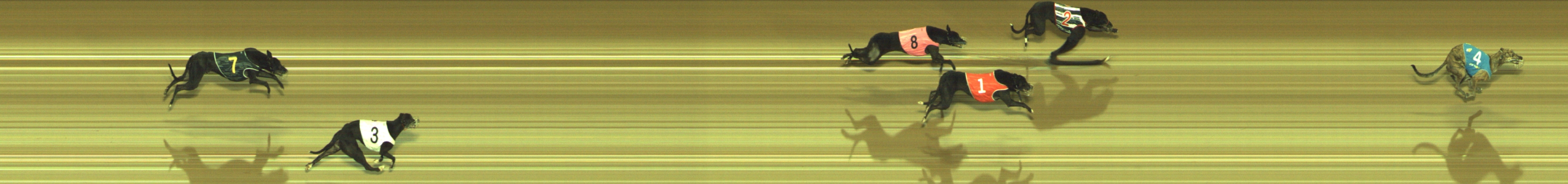 Photo finish for Geelong Race 10