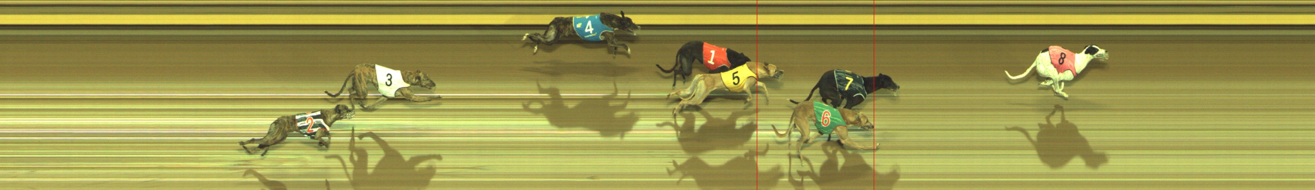 Photo finish for Geelong Race 11