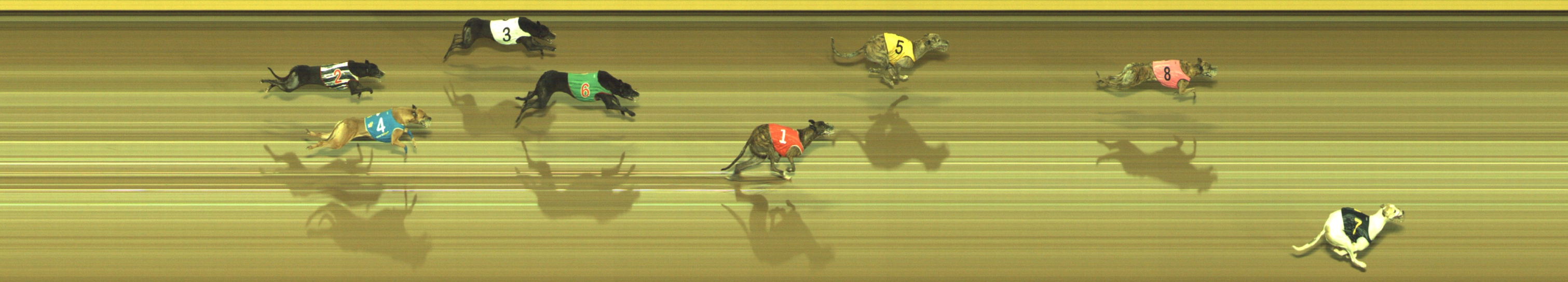 Photo finish for Geelong Race 12