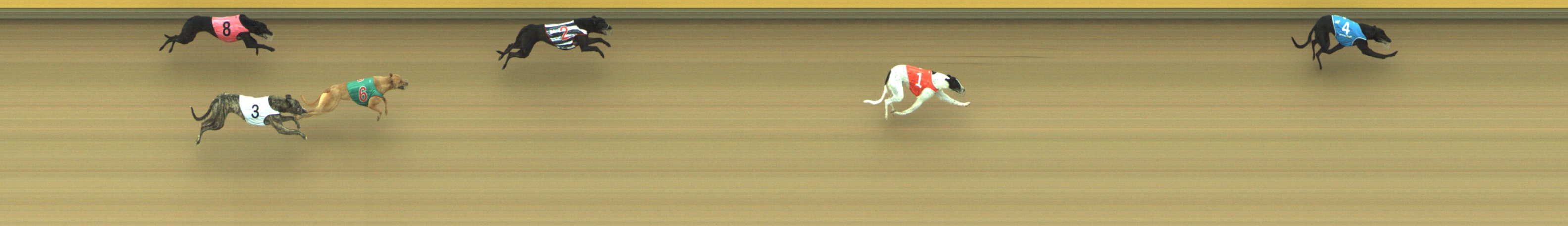 Photo finish for Geelong Race 1