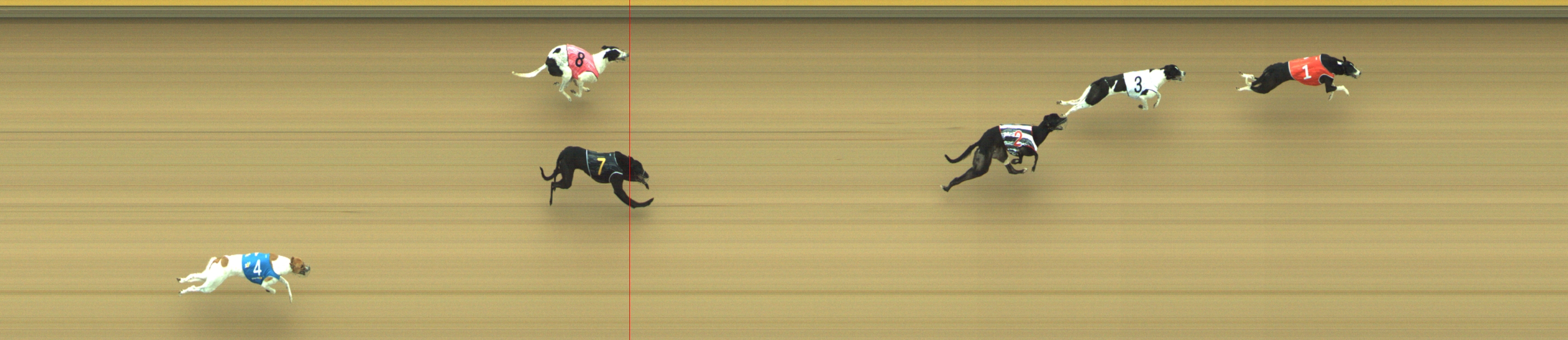 Photo finish for Geelong Race 2