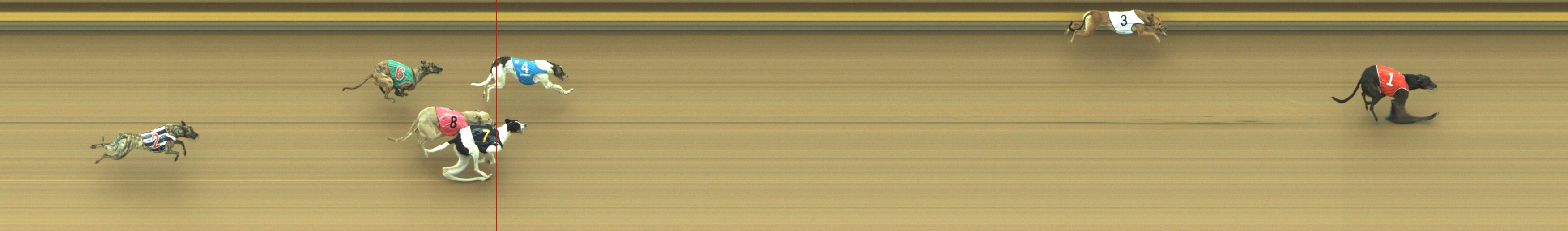 Photo finish for Geelong Race 3