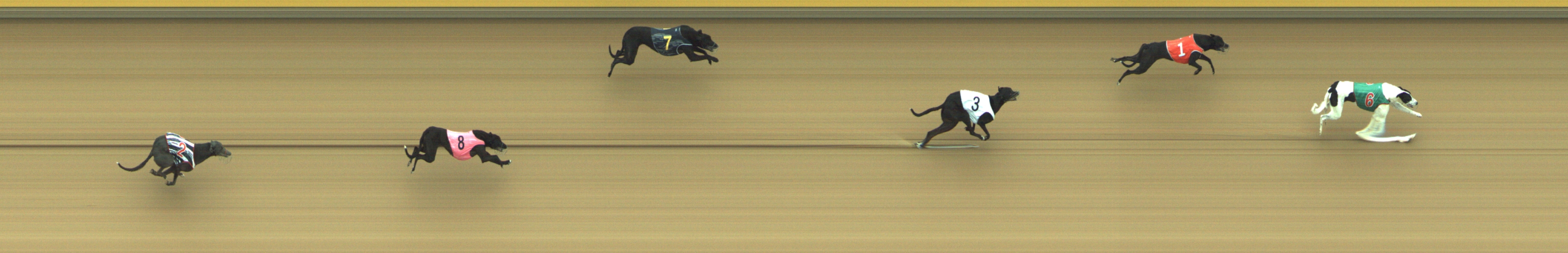 Photo finish for Geelong Race 4