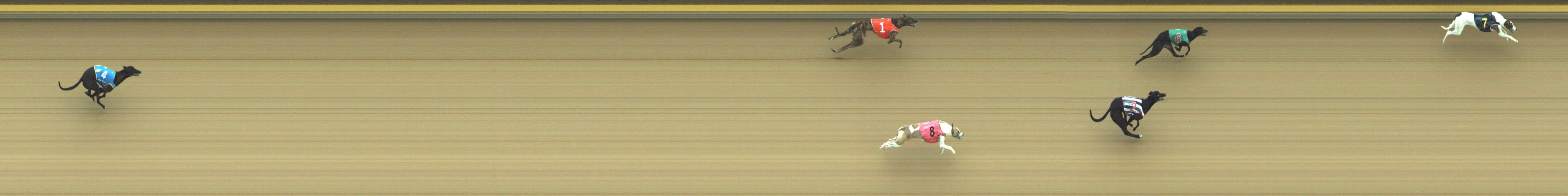 Photo finish for Geelong Race 5