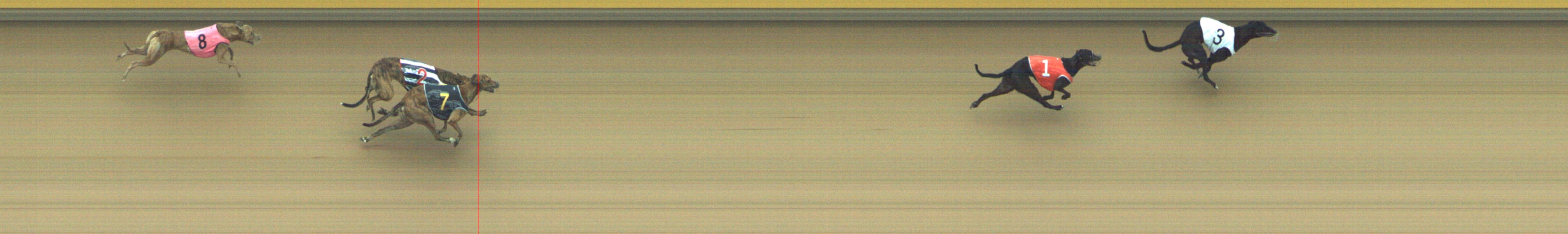 Photo finish for Geelong Race 6