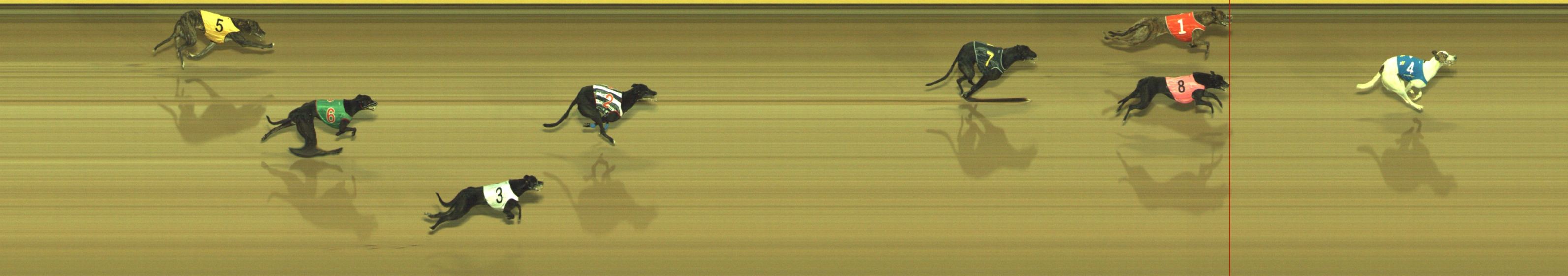 Photo finish for Geelong Race 7
