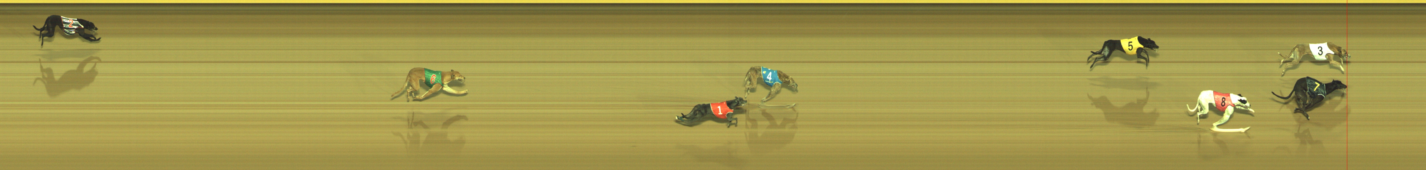 Photo finish for Geelong Race 8