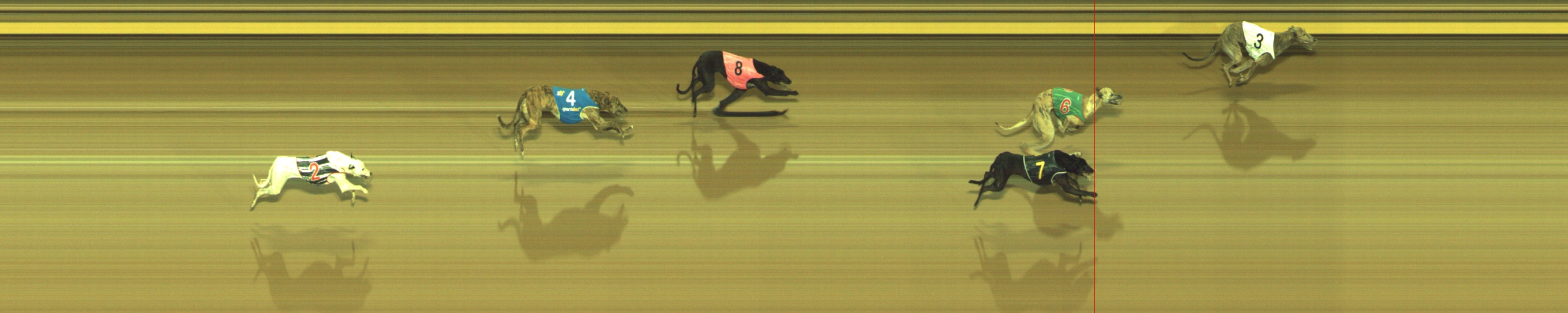 Photo finish for Geelong Race 9