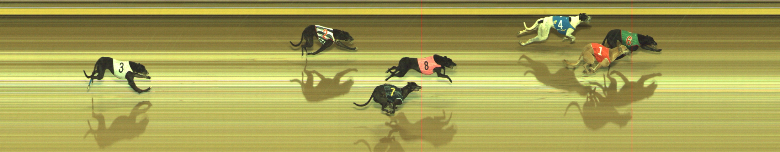 Photo finish for Geelong Race 10
