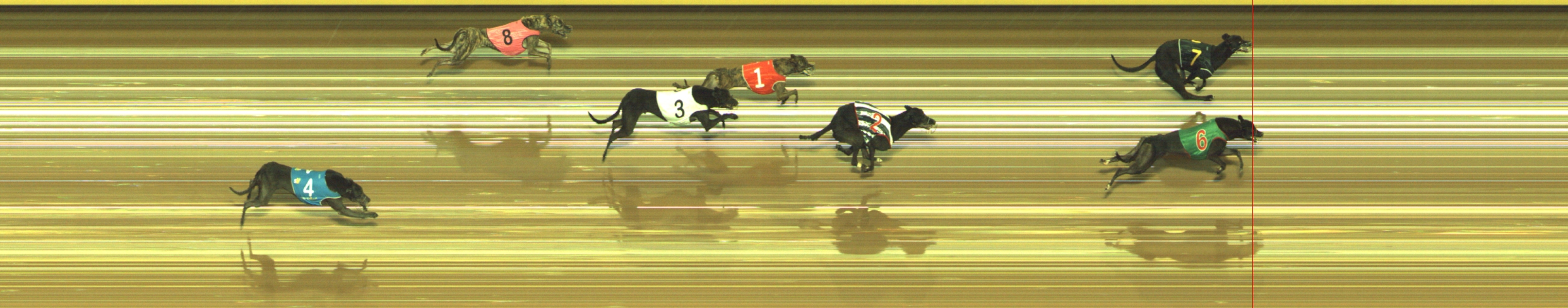 Photo finish for Geelong Race 11