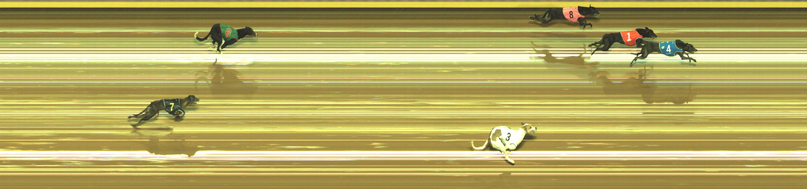Photo finish for Geelong Race 12