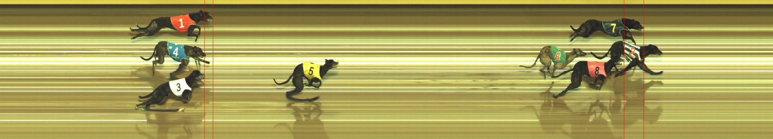 Photo finish for Geelong Race 13