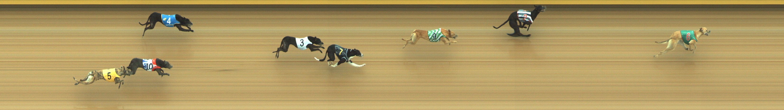 Photo finish for Geelong Race 1