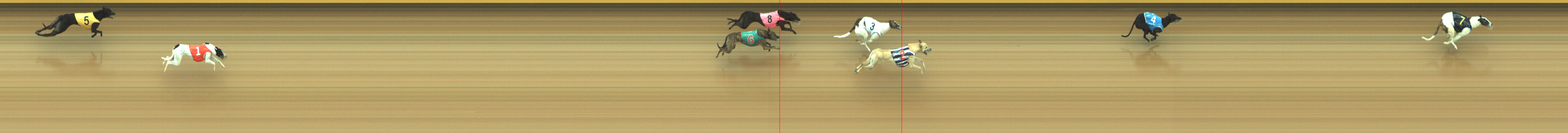 Photo finish for Geelong Race 2