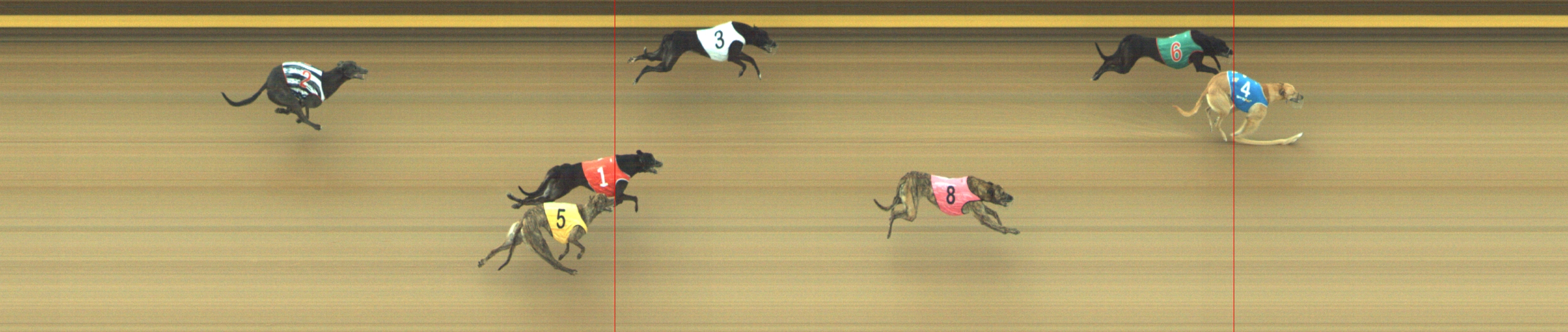 Photo finish for Geelong Race 3