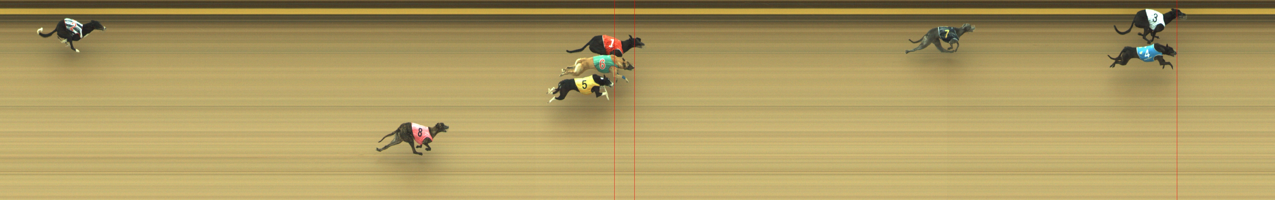 Photo finish for Geelong Race 4