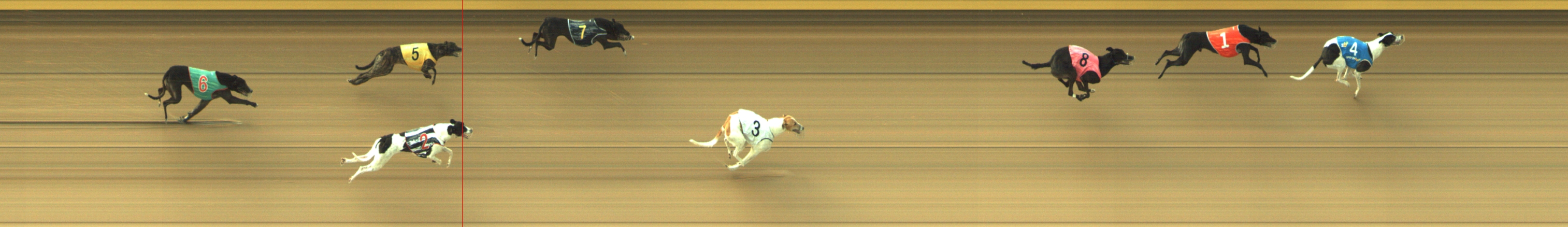 Photo finish for Geelong Race 6