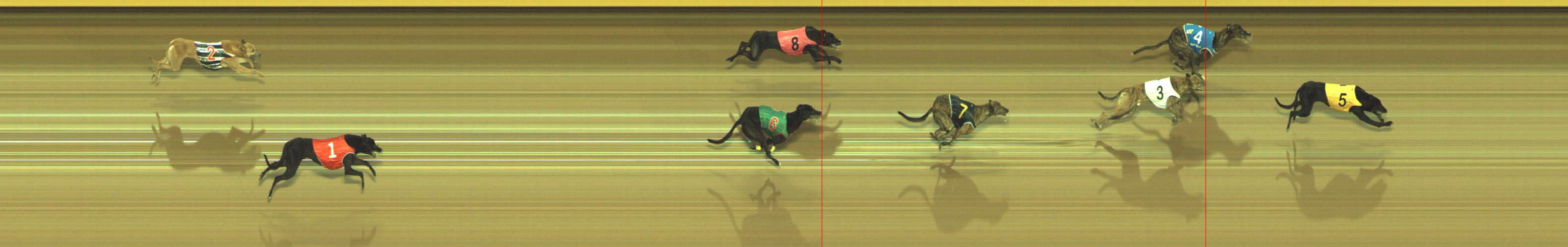 Photo finish for Geelong Race 7