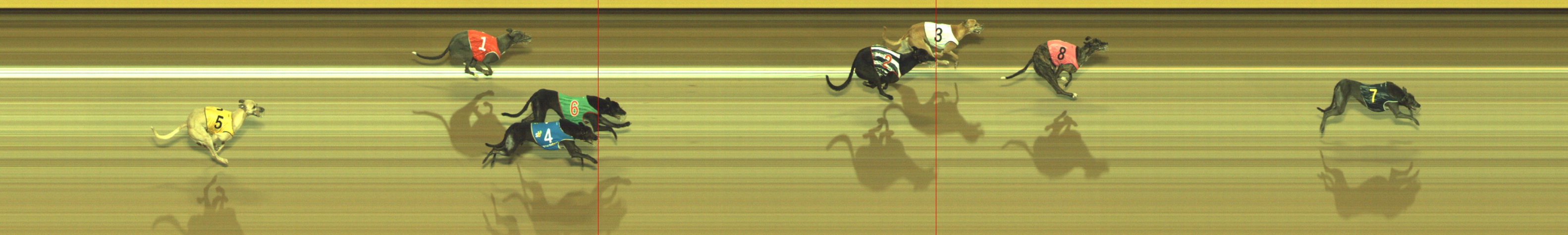 Photo finish for Geelong Race 8