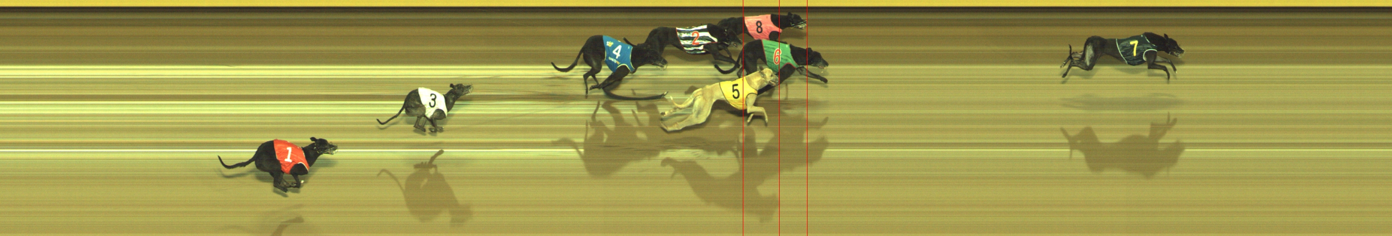 Photo finish for Geelong Race 10