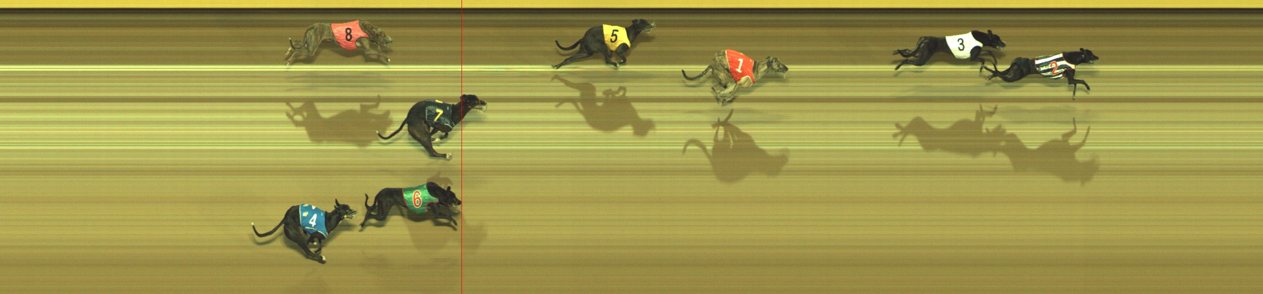 Photo finish for Geelong Race 11