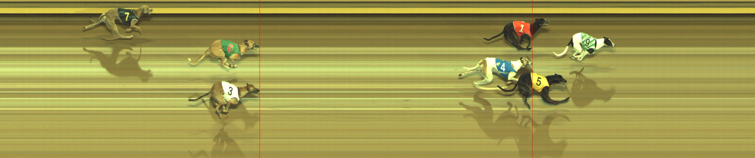 Photo finish for Geelong Race 12