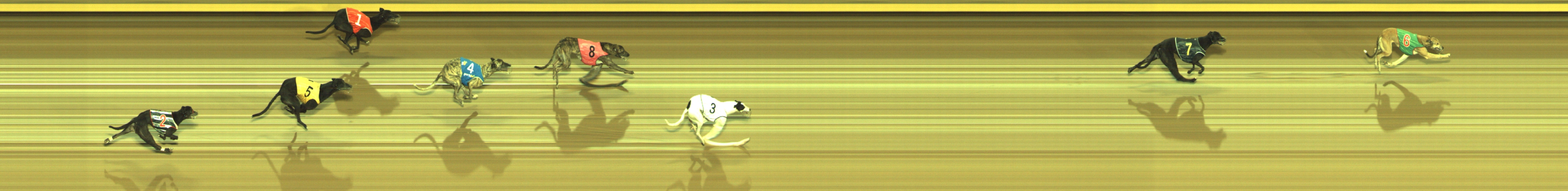 Photo finish for Geelong Race 13