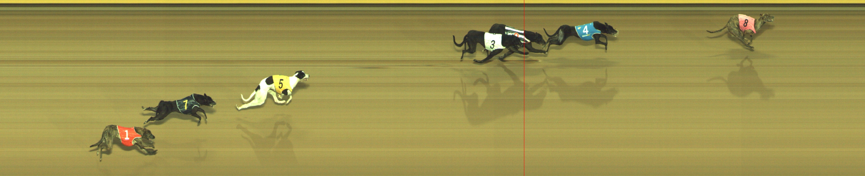 Photo finish for Geelong Race 1