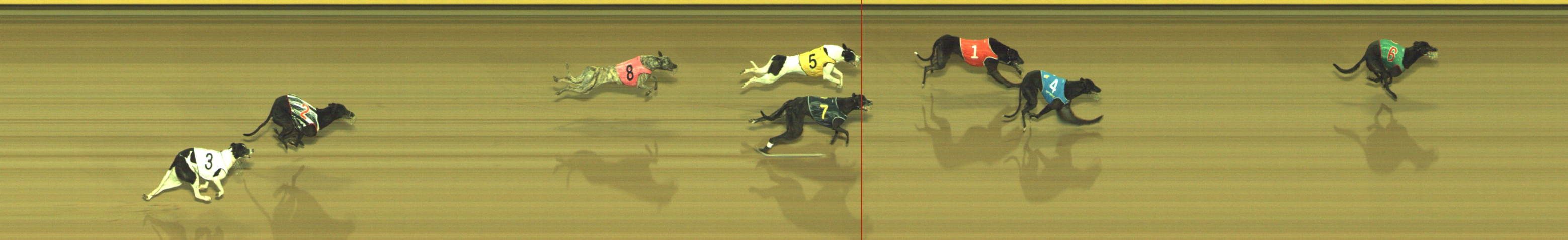 Photo finish for Geelong Race 2
