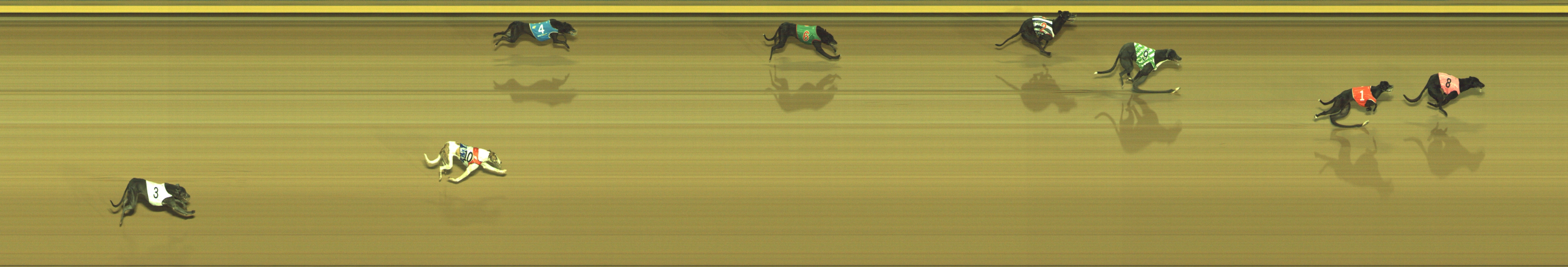 Photo finish for Geelong Race 3