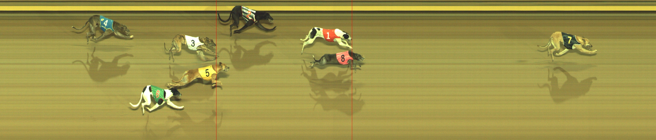 Photo finish for Geelong Race 4