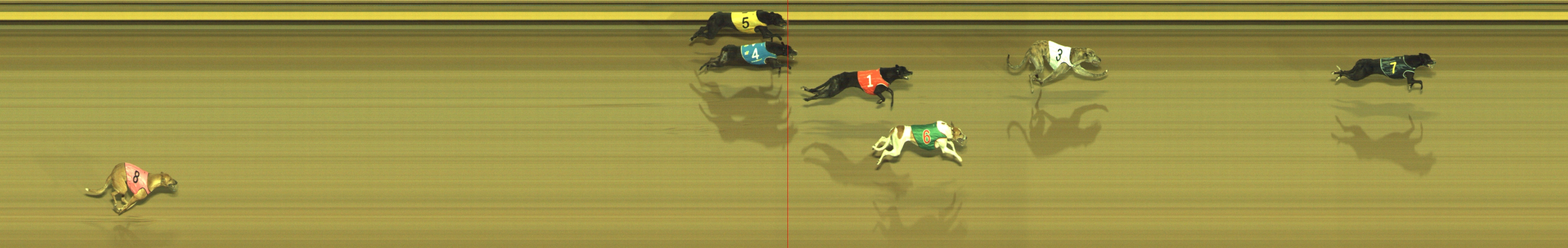 Photo finish for Geelong Race 5