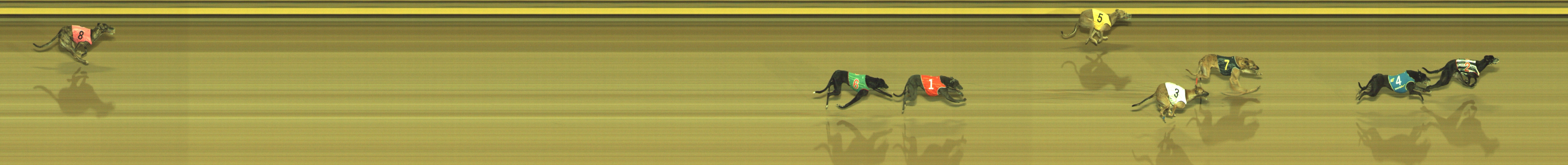 Photo finish for Geelong Race 6