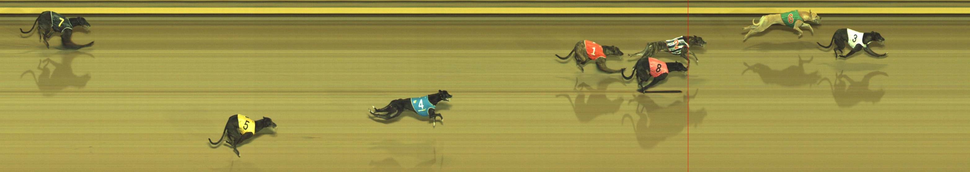 Photo finish for Geelong Race 7