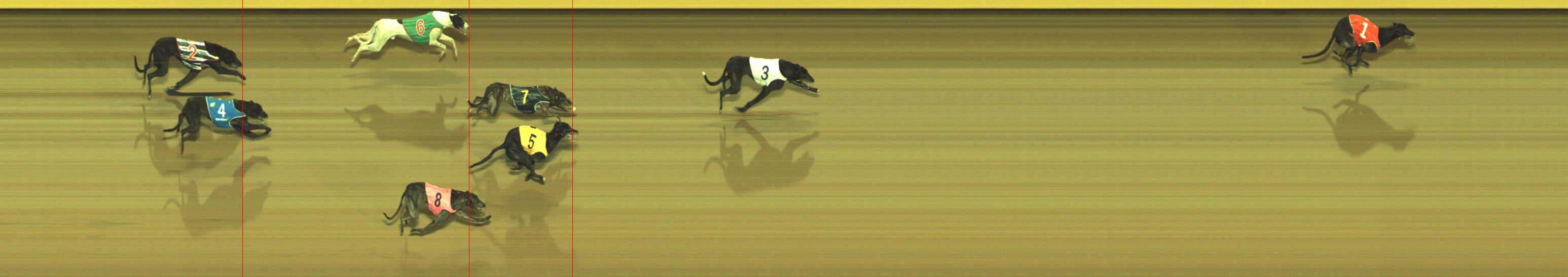 Photo finish for Geelong Race 8
