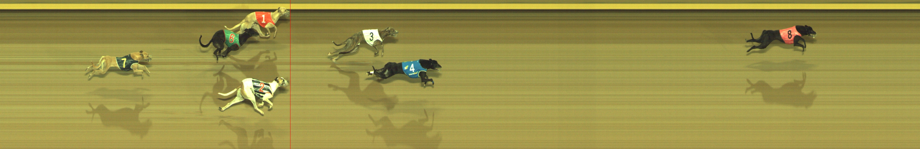Photo finish for Geelong Race 9
