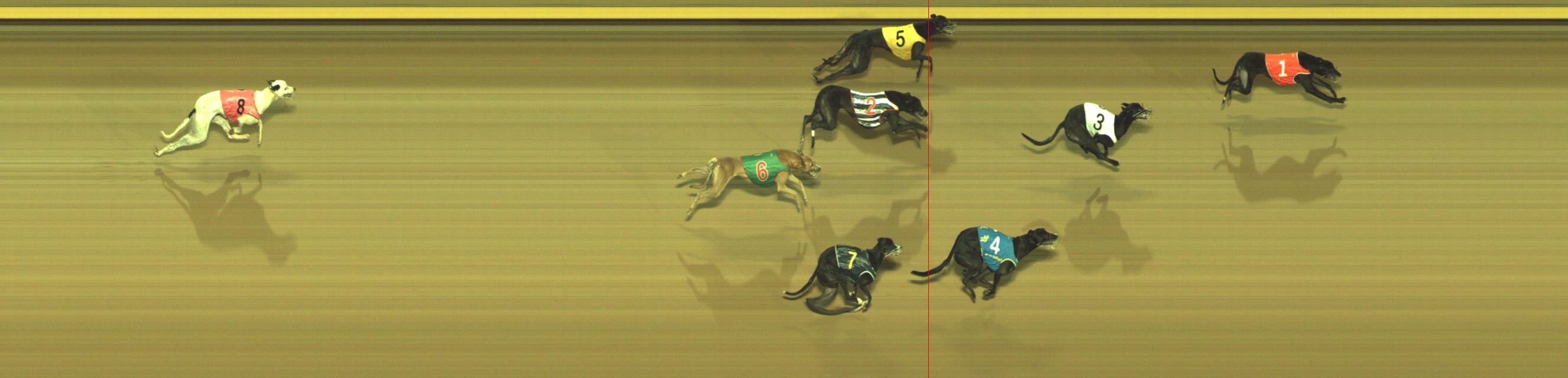 Photo finish for Geelong Race 10