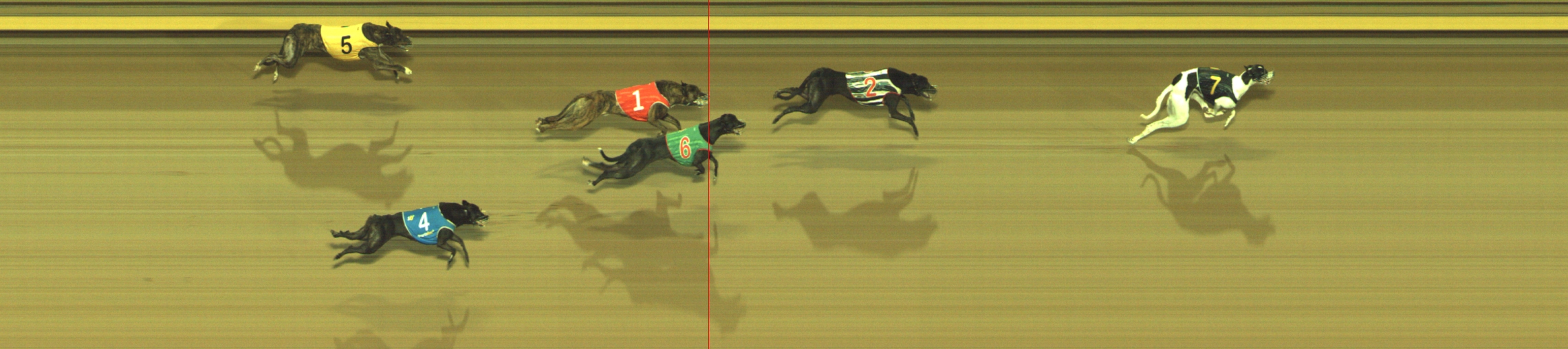 Photo finish for Geelong Race 11