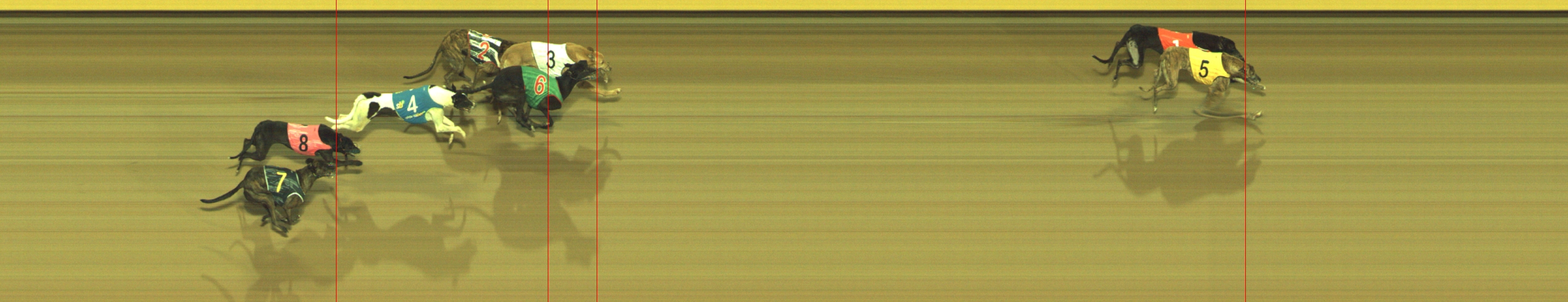 Photo finish for Geelong Race 12