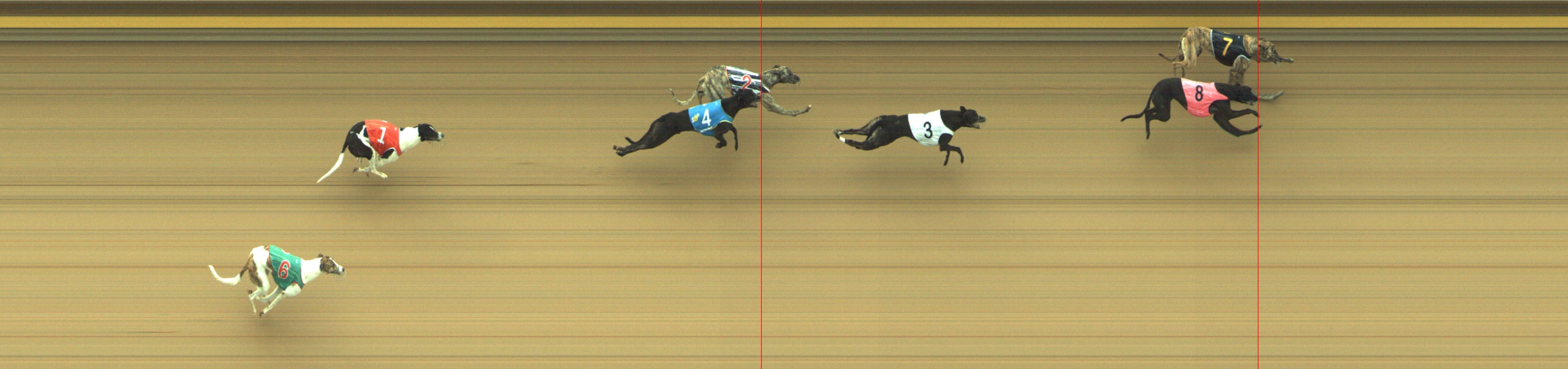 Photo finish for Geelong Race 1
