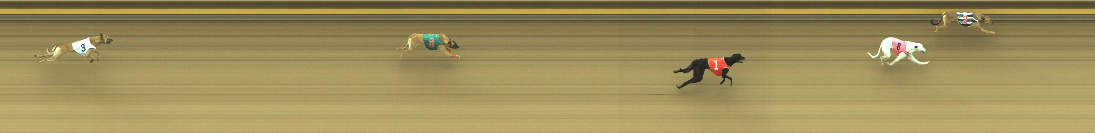 Photo finish for Geelong Race 2