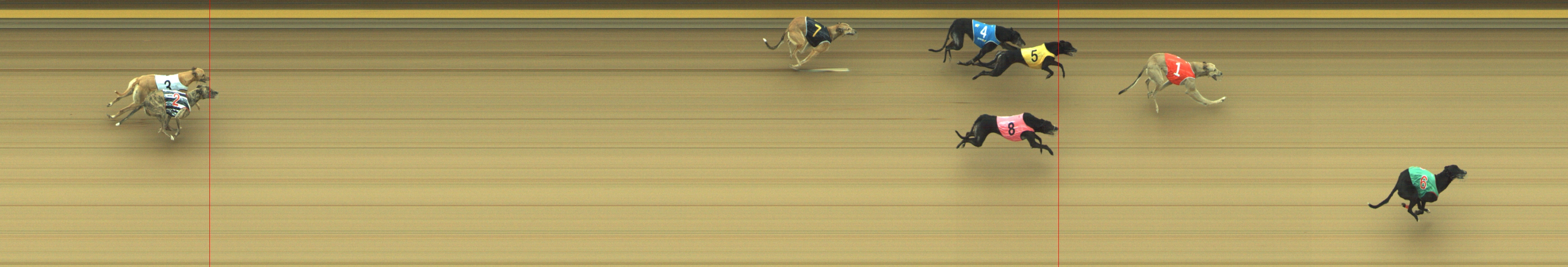Photo finish for Geelong Race 3