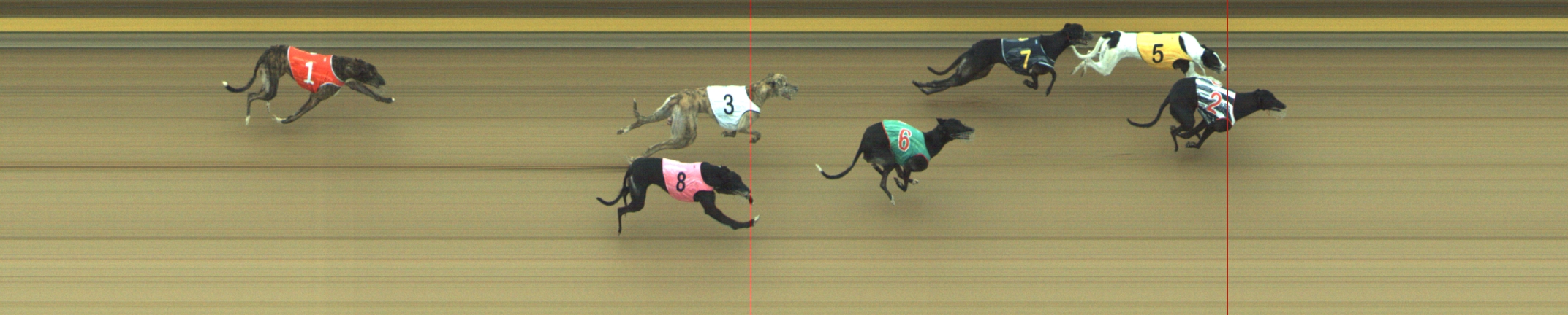 Photo finish for Geelong Race 4