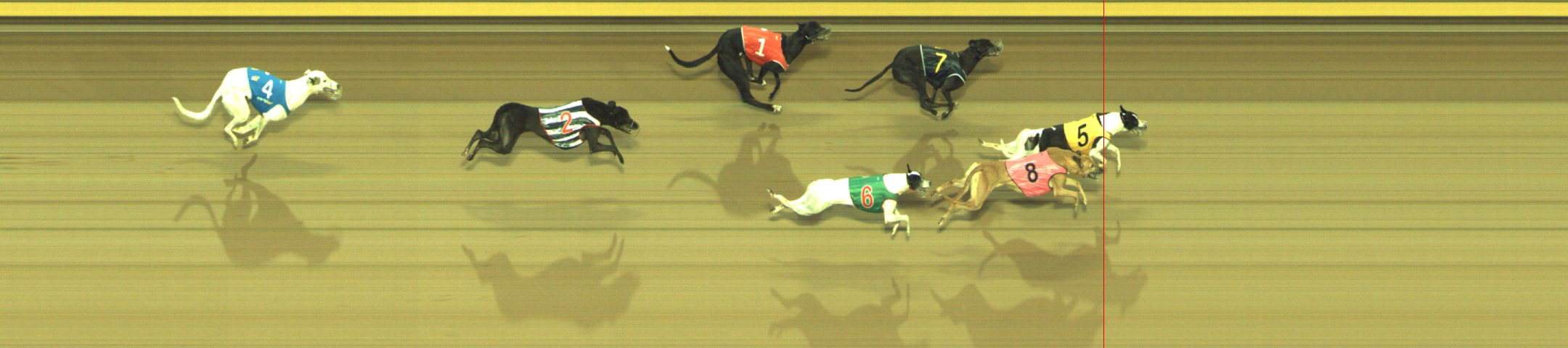 Photo finish for Geelong Race 5