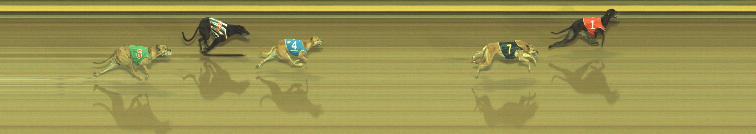 Photo finish for Geelong Race 6