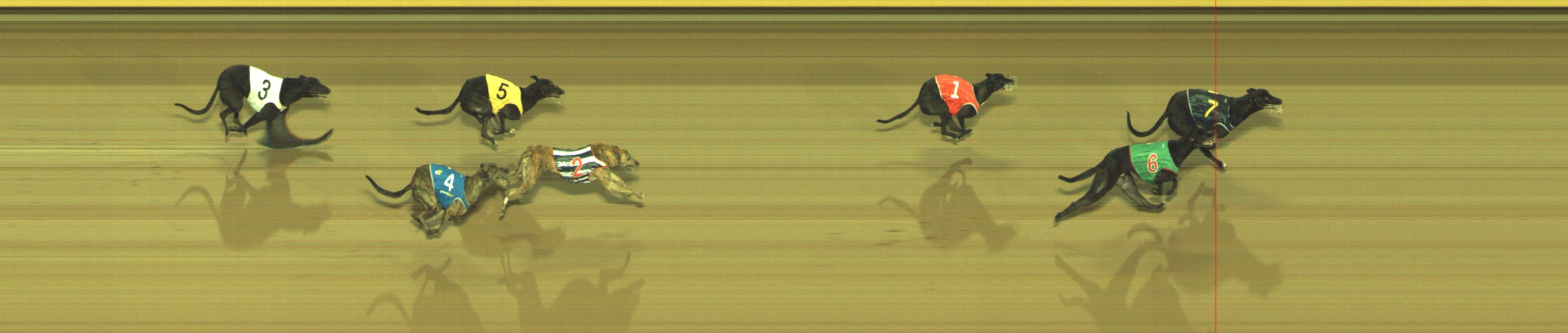 Photo finish for Geelong Race 7