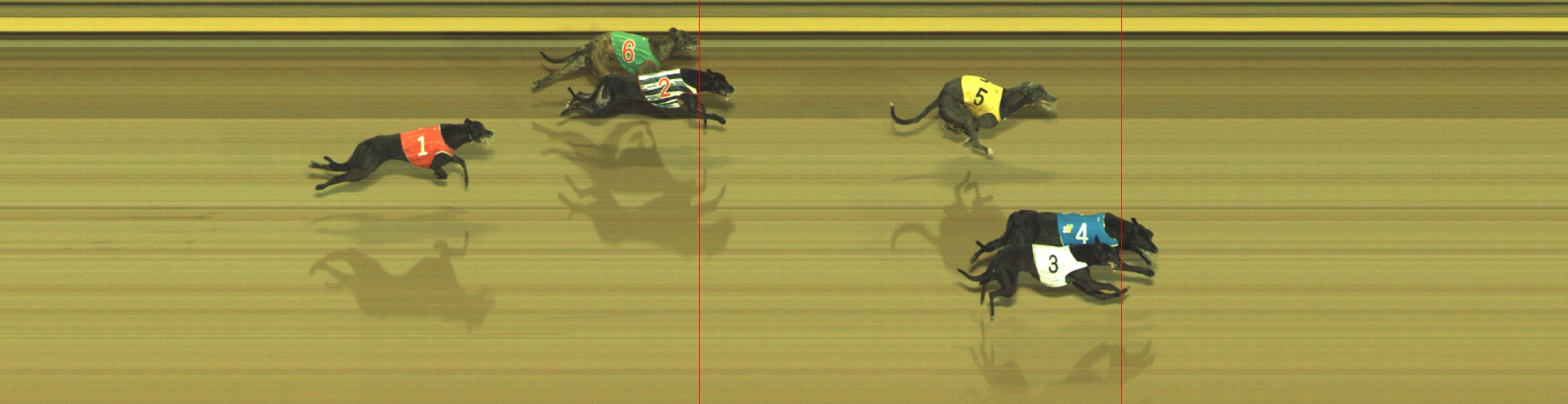 Photo finish for Geelong Race 8