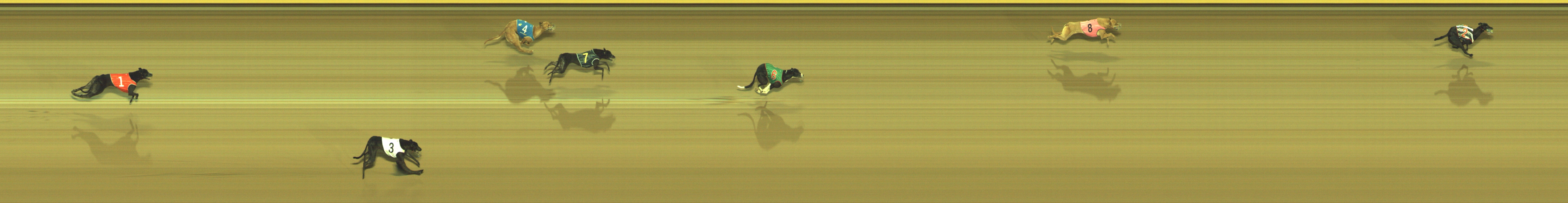 Photo finish for Geelong Race 9