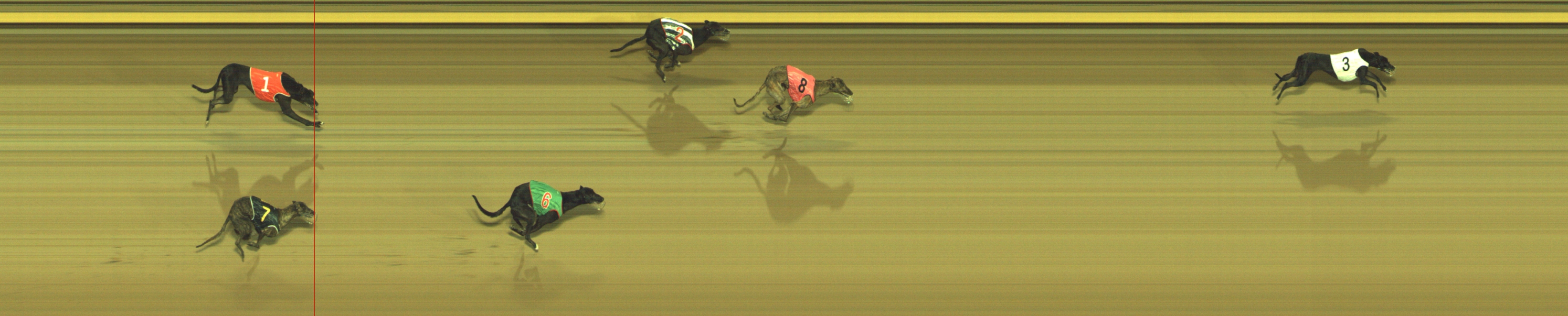 Photo finish for Geelong Race 10