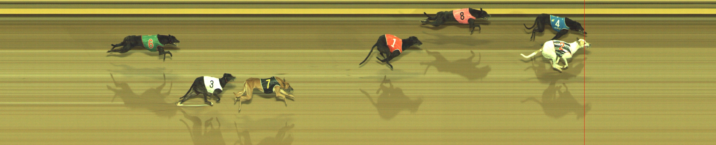 Photo finish for Geelong Race 12